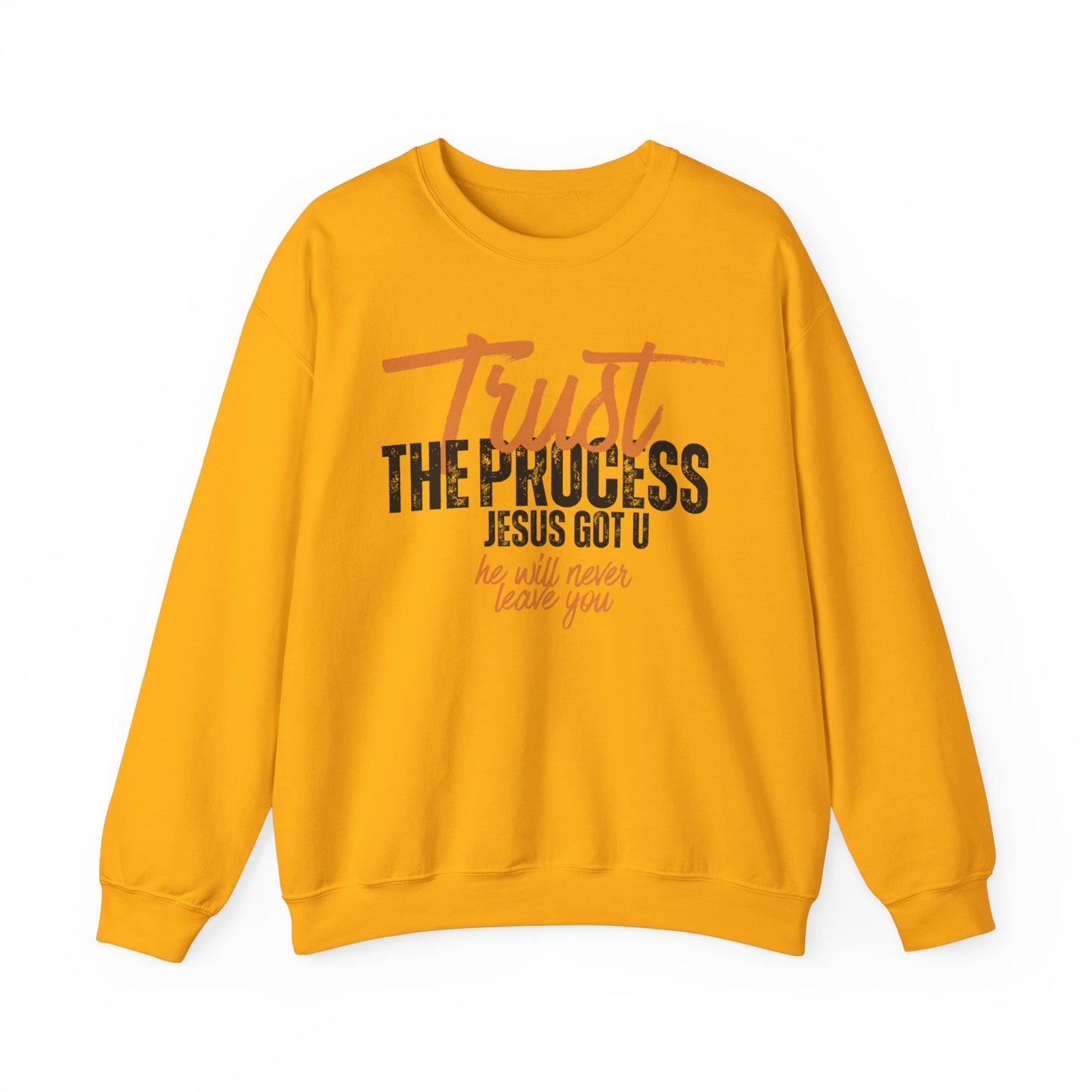 Trust the Process Sweatshirt - Unisex Heavy Blend™ Crewneck for Comfort and Inspiration